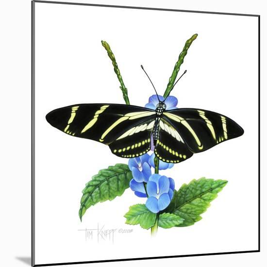 Zebra Butterfly-Tim Knepp-Mounted Giclee Print