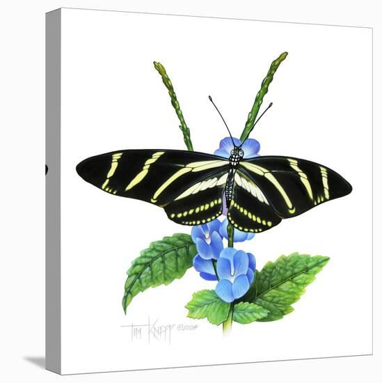 Zebra Butterfly-Tim Knepp-Stretched Canvas