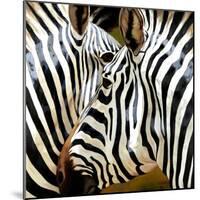 Zebra Close-up-Arcobaleno-Mounted Art Print