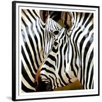 Zebra Close-up-Arcobaleno-Framed Art Print