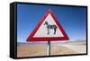 Zebra Crossing Animal Warning Sign, Namib Desert, Namibia, Africa-Ann and Steve Toon-Framed Stretched Canvas