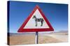Zebra Crossing Animal Warning Sign, Namib Desert, Namibia, Africa-Ann and Steve Toon-Stretched Canvas