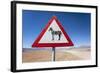 Zebra Crossing Animal Warning Sign, Namib Desert, Namibia, Africa-Ann and Steve Toon-Framed Photographic Print