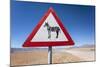 Zebra Crossing Animal Warning Sign, Namib Desert, Namibia, Africa-Ann and Steve Toon-Mounted Photographic Print