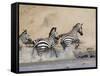 Zebra Crossing the Mara River, Masai Mara National Reserve, East Africa, Africa-James Hager-Framed Stretched Canvas