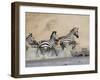 Zebra Crossing the Mara River, Masai Mara National Reserve, East Africa, Africa-James Hager-Framed Photographic Print