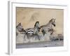 Zebra Crossing the Mara River, Masai Mara National Reserve, East Africa, Africa-James Hager-Framed Photographic Print