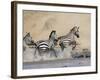 Zebra Crossing the Mara River, Masai Mara National Reserve, East Africa, Africa-James Hager-Framed Photographic Print