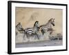 Zebra Crossing the Mara River, Masai Mara National Reserve, East Africa, Africa-James Hager-Framed Photographic Print