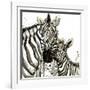 Zebra Cuddles-Jin Jing-Framed Art Print