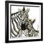 Zebra Cuddles-Jin Jing-Framed Art Print