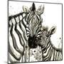 Zebra Cuddles-Jin Jing-Mounted Art Print