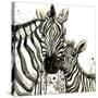Zebra Cuddles-Jin Jing-Stretched Canvas