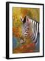 Zebra Days-Graeme Stevenson-Framed Giclee Print