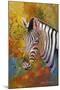 Zebra Days-Graeme Stevenson-Mounted Giclee Print