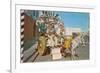 Zebra Donkey Cart, Tijuana, Mexico-null-Framed Premium Giclee Print