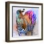 Zebra Dreams-Galen Hazelhofer-Framed Art Print