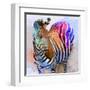 Zebra Dreams-Galen Hazelhofer-Framed Art Print