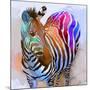 Zebra Dreams-Galen Hazelhofer-Mounted Art Print