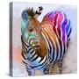 Zebra Dreams-Galen Hazelhofer-Stretched Canvas