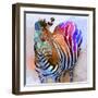 Zebra Dreams-Galen Hazelhofer-Framed Art Print