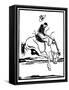 Zebra Dunn-Frank Redlinger-Framed Stretched Canvas