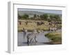 Zebra (Equus Quagga), Masai Mara, Kenya, East Africa, Africa-Sergio Pitamitz-Framed Photographic Print