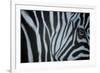 Zebra Eye-Cherie Roe Dirksen-Framed Giclee Print