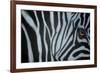 Zebra Eye-Cherie Roe Dirksen-Framed Giclee Print