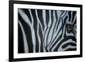 Zebra Eye-Cherie Roe Dirksen-Framed Giclee Print