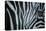 Zebra Eye-Cherie Roe Dirksen-Stretched Canvas