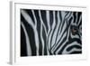 Zebra Eye-Cherie Roe Dirksen-Framed Giclee Print