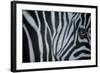 Zebra Eye-Cherie Roe Dirksen-Framed Giclee Print