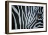 Zebra Eye-Cherie Roe Dirksen-Framed Giclee Print