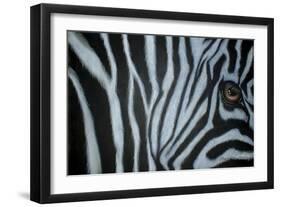 Zebra Eye-Cherie Roe Dirksen-Framed Giclee Print