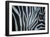 Zebra Eye-Cherie Roe Dirksen-Framed Giclee Print