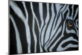 Zebra Eye-Cherie Roe Dirksen-Mounted Giclee Print