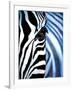 Zebra Face-Cherie Roe Dirksen-Framed Giclee Print