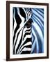 Zebra Face-Cherie Roe Dirksen-Framed Giclee Print