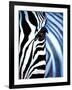 Zebra Face-Cherie Roe Dirksen-Framed Giclee Print