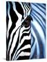 Zebra Face-Cherie Roe Dirksen-Stretched Canvas