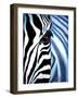 Zebra Face-Cherie Roe Dirksen-Framed Giclee Print