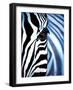 Zebra Face-Cherie Roe Dirksen-Framed Giclee Print