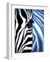 Zebra Face-Cherie Roe Dirksen-Framed Giclee Print