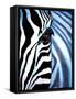 Zebra Face-Cherie Roe Dirksen-Framed Stretched Canvas