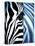 Zebra Face-Cherie Roe Dirksen-Stretched Canvas