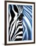 Zebra Face-Cherie Roe Dirksen-Framed Giclee Print