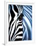 Zebra Face-Cherie Roe Dirksen-Framed Giclee Print