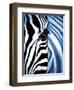 Zebra Face-Cherie Roe Dirksen-Framed Premium Giclee Print