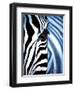 Zebra Face-Cherie Roe Dirksen-Framed Premium Giclee Print